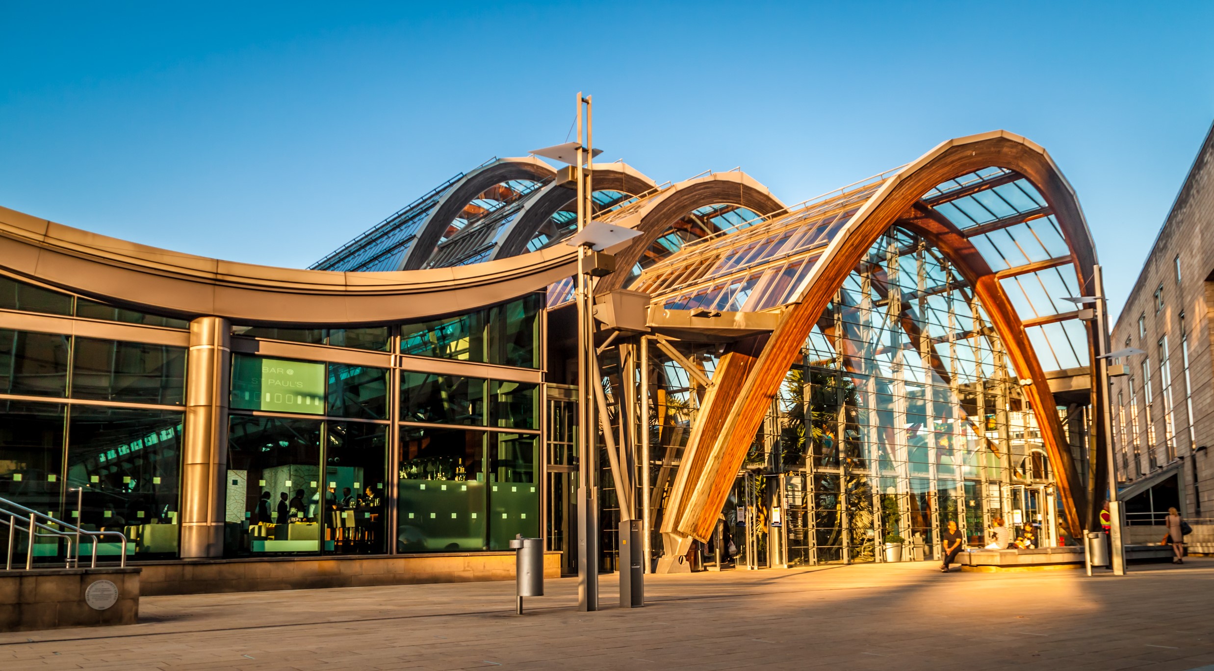 Sheffield Winter Garden glasshouse interior with arched timber structure and lush flora